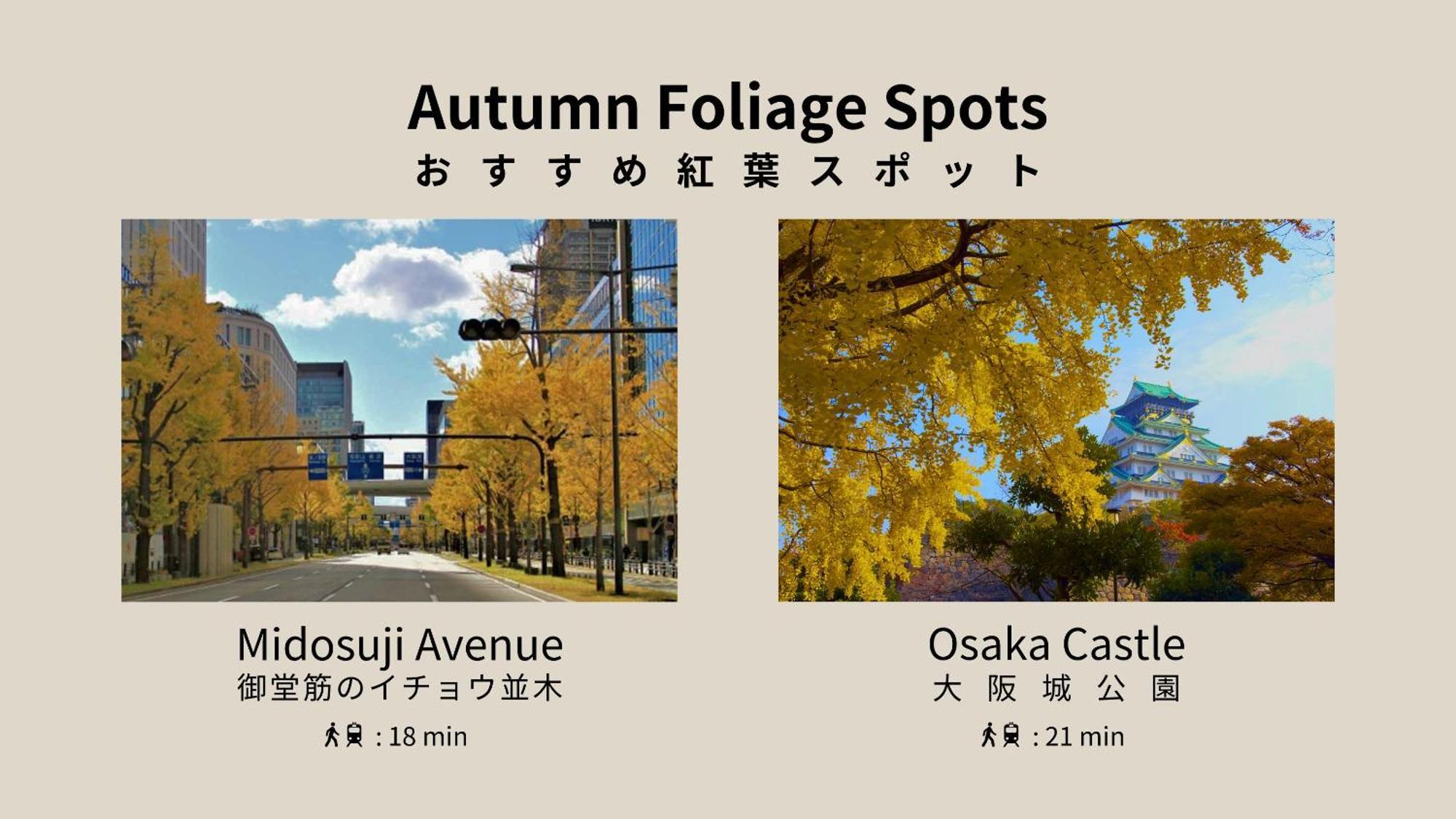 Bon Condominium Namba Ebisu Osaka Ngoại thất bức ảnh